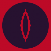 killekill008